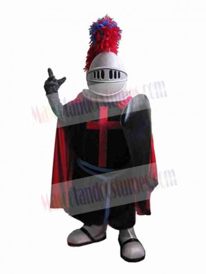 Knight mascot costume