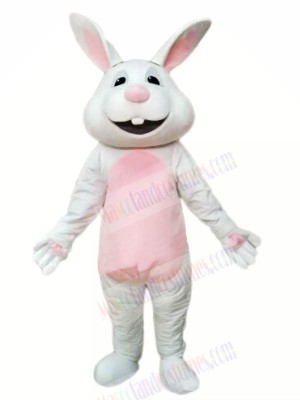 Smiling Gray Rabbit Mascot Costumes Animal