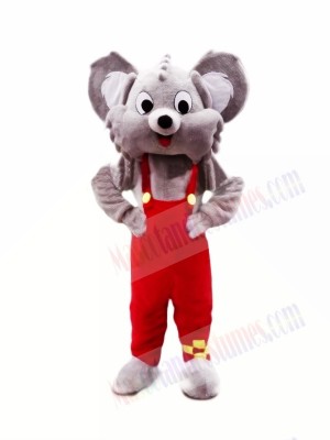 Cute Grey Koala Mascot Costumes