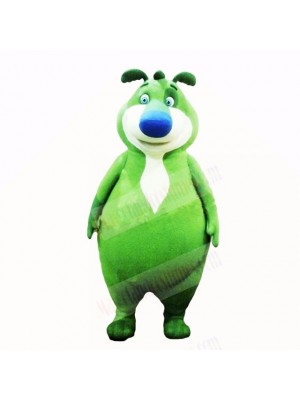 Green Bear Mascot Costumes Cartoon