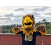 Eagle mascot costume
