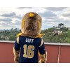 Eagle mascot costume