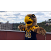 Eagle mascot costume