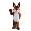 Brown Lightweight Squirrel Mascot Costumes 