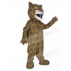 Jaguar mascot costume