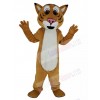 Bobcat mascot costume