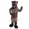 Beaver mascot costume