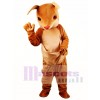 Kangaroo Mascot Costume