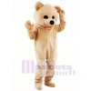 Teddy Bear Mascot Costume