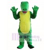 Crocodile Mascot Adult Costume