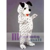 Dalmation Dog Mascot Costume