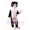 Black and White Cat Mascot Costume