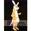 Kangaroo Mascot Costume