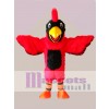 Red Eagle Mascot Costume