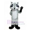 Raccoon Mascot Costume