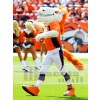 Mustang Horse Broncos Mascot Costume