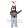 Toothless Rabbit Easter Bunny Mascot Costume