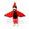 New Big Red Cardinal Mascot Costume