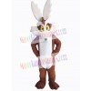 Coyote mascot costume
