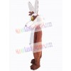 Coyote mascot costume