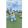 Inflatable Blue Dog Costumes Cosplay Costume for Adult Character Mascot costumes for adults