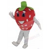 Strawberry mascot costume