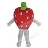 Strawberry mascot costume