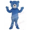 Teddy Bear mascot costume