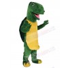 Tortoise mascot costume