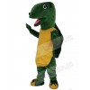 Tortoise mascot costume