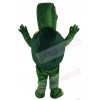 Tortoise mascot costume