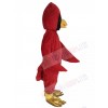 Cardinal Bird mascot costume