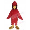 Cardinal Bird mascot costume
