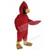 Cardinal Bird mascot costume