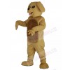 Dog mascot costume