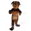 Rottweiler Dog mascot costume