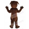 Rottweiler Dog mascot costume