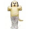 Cute Shaggy Maggy Dog with Grey Mascot Costume School