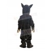 Coyote mascot costume