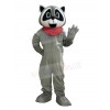 Raccoon mascot costume