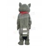 Raccoon mascot costume