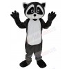 Raccoon mascot costume