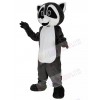 Raccoon mascot costume