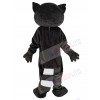 Raccoon mascot costume