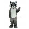 Raccoon mascot costume