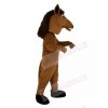 Pony Horse mascot costume