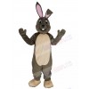 Easter Bunny mascot costume