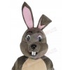 Easter Bunny mascot costume