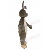 Easter Bunny mascot costume