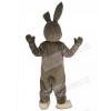 Easter Bunny mascot costume